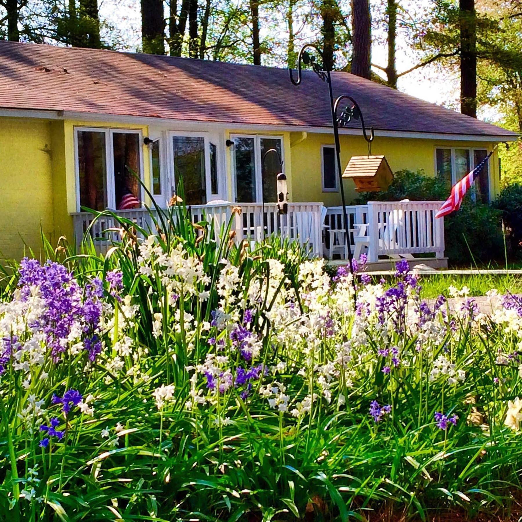Meris Gardens B&B Bethany Beach Εξωτερικό φωτογραφία