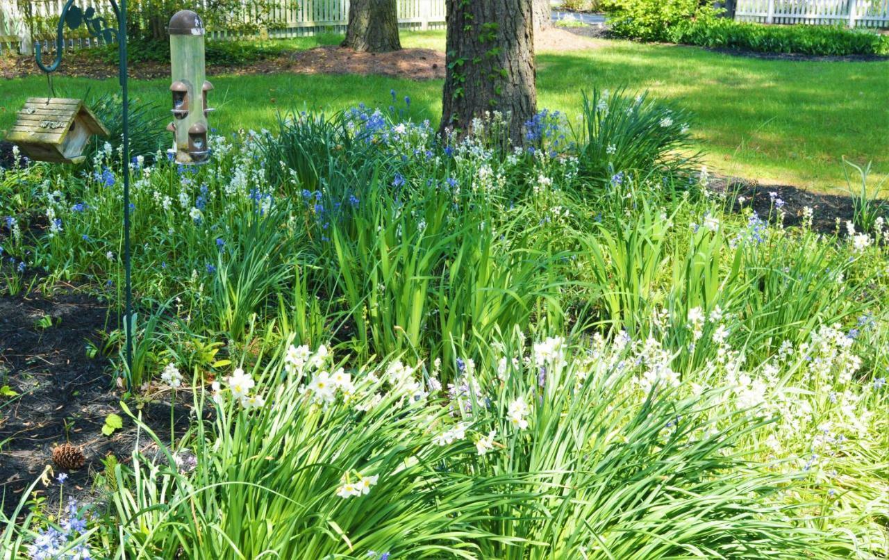Meris Gardens B&B Bethany Beach Εξωτερικό φωτογραφία